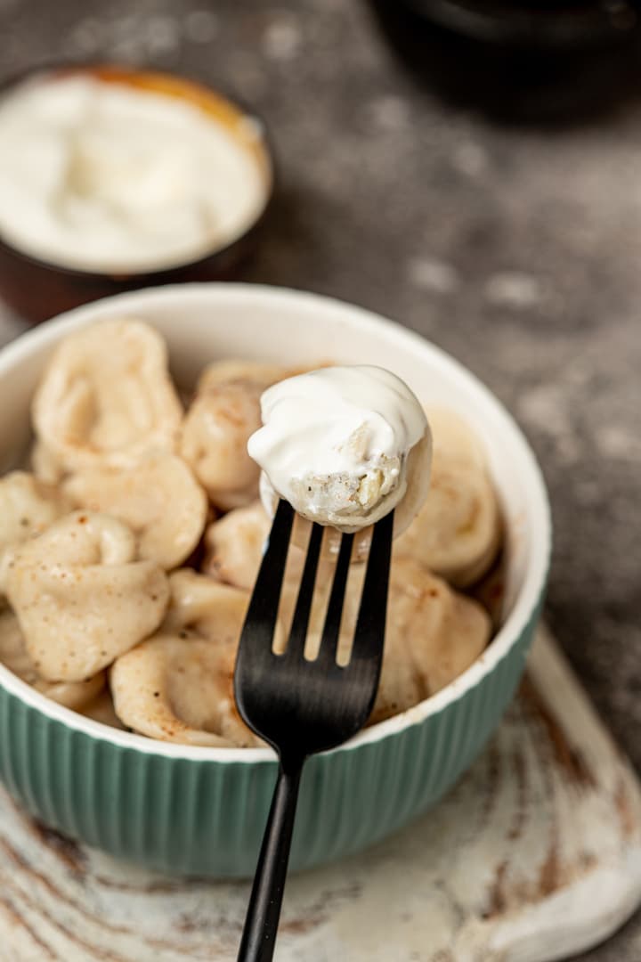 chicken-dumplings